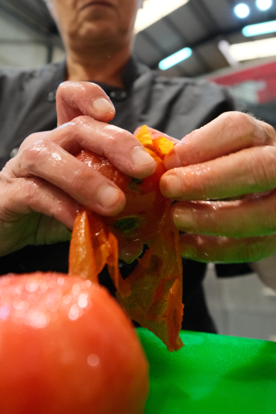 INGASTUR_ALUMNA_PELANDO